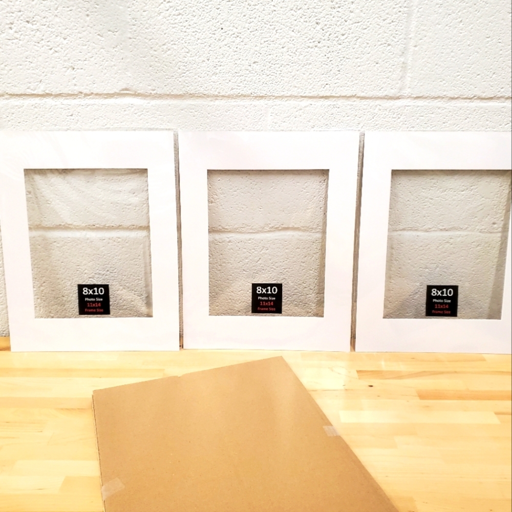 (3) White Bevel-cut Mattes size 8x10 photo